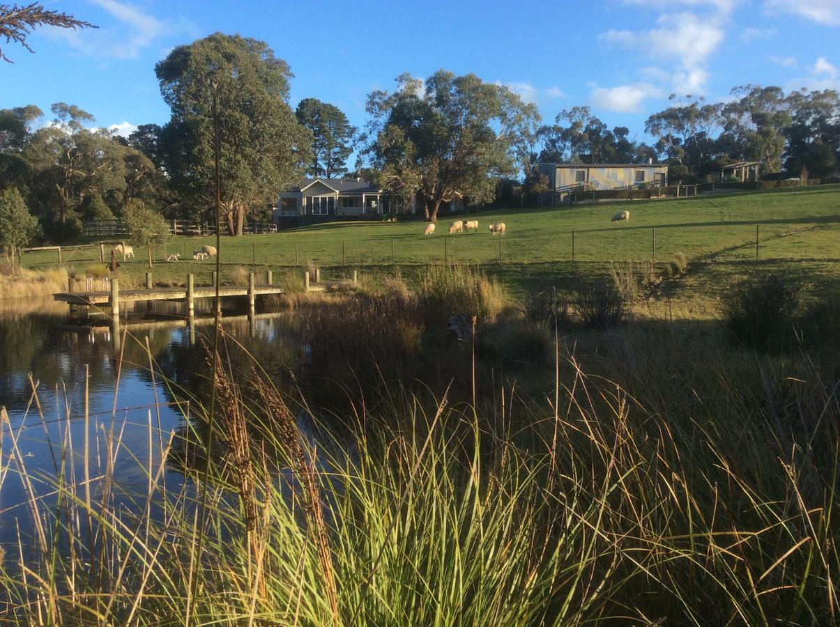 Haven Red Hill Bed and Breakfast Buitenkant foto